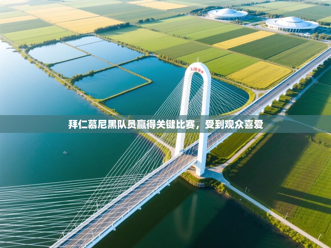 爱游戏体育娱乐赞助意甲-拜仁慕尼黑队员赢得关键比赛，受到观众喜爱  第1张