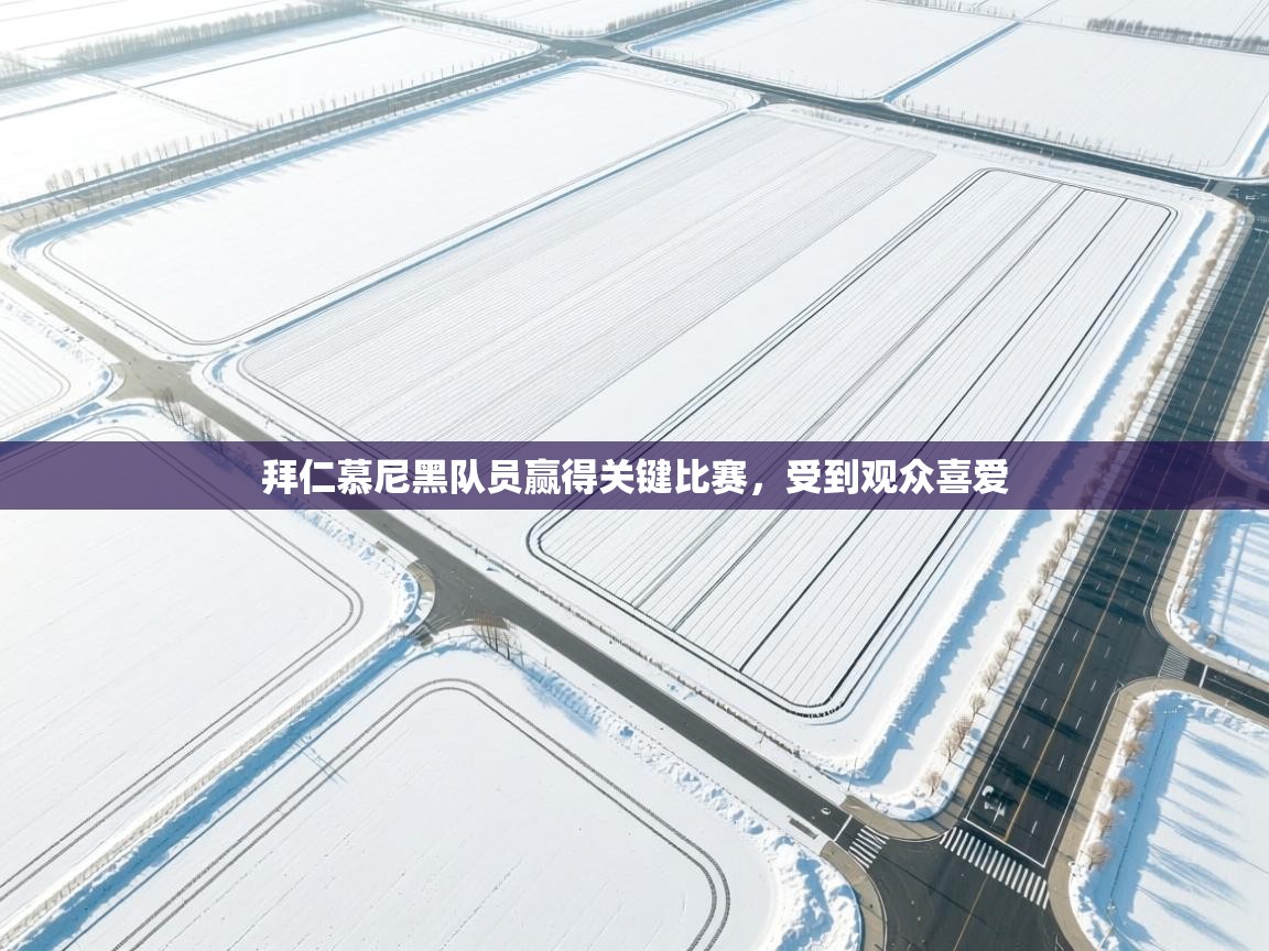 爱游戏体育娱乐赞助意甲-拜仁慕尼黑队员赢得关键比赛，受到观众喜爱  第3张