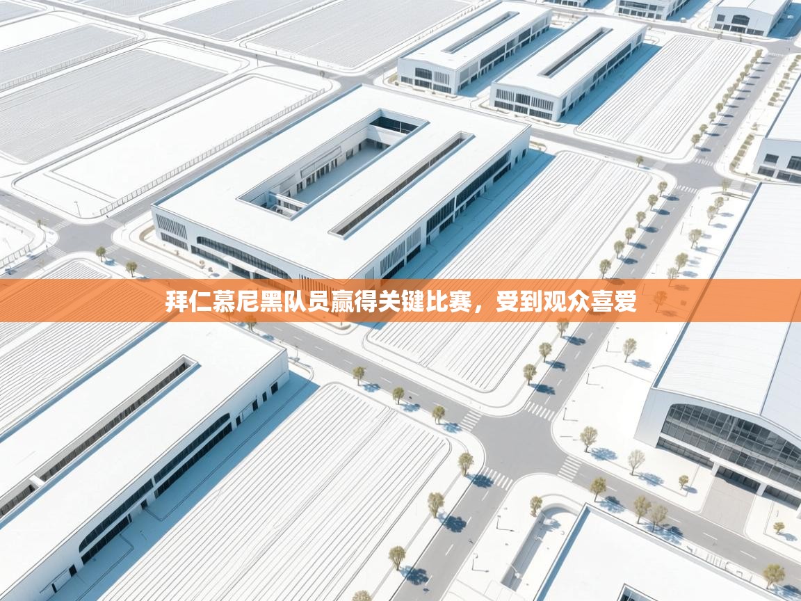 爱游戏体育娱乐赞助意甲-拜仁慕尼黑队员赢得关键比赛，受到观众喜爱  第4张