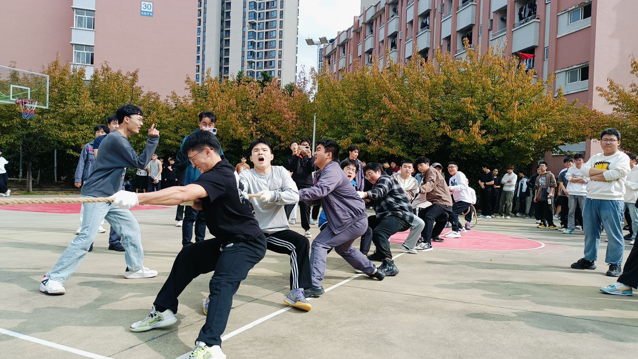 乐动体育ld-比赛场上的团结一心是球队最大优势